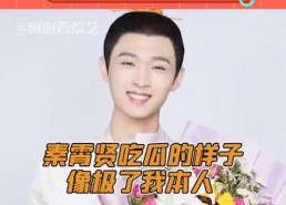 娱乐吃瓜秦霄贤,娱乐吃瓜界的风云人物