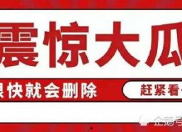 娱乐圈吃瓜合集视频网